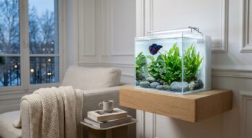 Ce kit d&rsquo;aquarium tout équipé à -34 % chez E.Leclerc transforme votre salon en oasis pour moins de 130 € (mais pas pour longtemps)