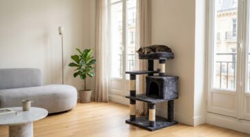 Chez Truffaut, ce meuble pour chat à -70 % promet de sauver votre canapé et de métamorphoser votre salon pour moins de 15 € vite
