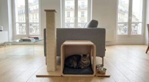 Ce meuble 3-en-1 pour chat à 19,90 € chez Gifi libère enfin le salon du bazar (les petits appartements vont se l’arracher)