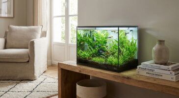 Ce mini bac design chez Cdiscount à 108 € affole les fans d&rsquo;aquariophilie et ridiculise des modèles deux fois plus chers