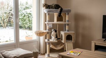 Ce perchoir géant pour chat à 30 € de moins chez E.Leclerc affole les propriétaires, au point qu&rsquo;ils ne jurent plus que par lui