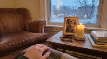 Ce silence qui vous écrase après la perte cet animal : pourquoi il vous fait si mal et comment tenir au quotidien