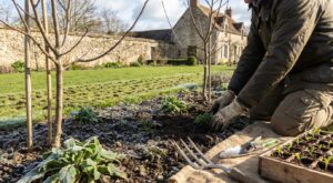 Ces travaux à lancer en mars dans votre extérieur pour éviter les dégâts du froid et avoir des récoltes record cet été