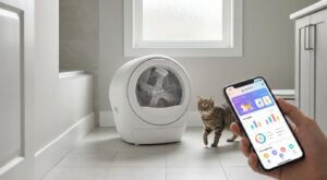 Chez Stokomani, cet appareil connecté pour chats casse les prix à 149,99 € (et promet un suivi santé inédit à ce tarif)