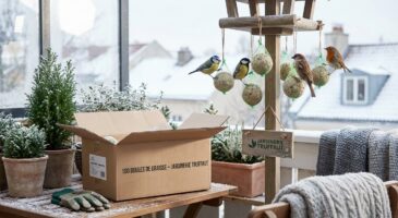 Chez Truffaut, ce carton XXL pour nourrir les oiseaux passe sous les 15 € (et les stocks se vident bien plus vite que prévu)