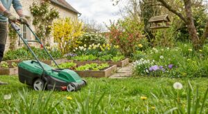 Jardin en mars : ces 6 gestes à faire tout de suite pour éviter la catastrophe au potager, sur la pelouse et autour des rosiers