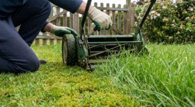 Ce réglage de tondeuse que tout le monde rate abîme votre gazon : voici comment l’adapter à chaque pelouse sans la brûler