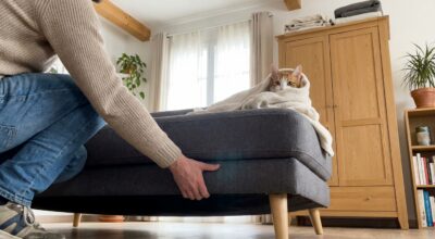 Il disparaît pendant des heures : cette habitude de votre chat cache bien plus que vous ne le pensez (et peut vous coûter cher)