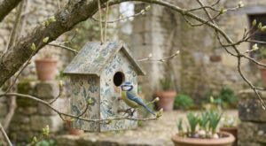 Le chant des mésanges a disparu ? Ce petit abri à 4,99 € chez Action pourrait transformer votre jardin en quelques semaines