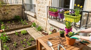 Printemps : ces 10 gestes à faire maintenant au jardin et sur le balcon pour éviter les mauvaises surprises aux beaux jours