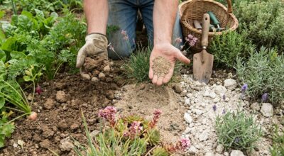 Si vos plantes meurent en sol argileux, sableux ou calcaire, ce guide révèle celles qui vont enfin prospérer chez vous
