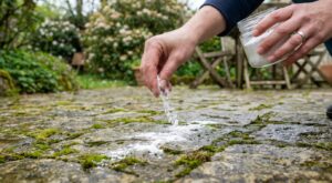 Terrasse envahie de mousse avant l&rsquo;été : cette poudre qu&rsquo;on a tous dans notre placard, la fait disparaître en 48 heures chrono sans effort