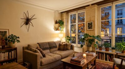 Araignées dans la maison : ce signal invisible que votre logement envoie à distance, même impeccable, les fait accourir