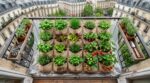 Arrêtez d’acheter des bacs potagers : ce rangement de l’entrée transforme votre balcon en jardin parfait pour presque rien