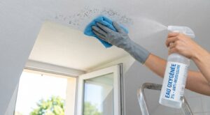 Ce produit de pharmacie a sauvé mon plafond moisi en 15 minutes sans repeindre (et cette habitude allemande l’empêche de revenir)