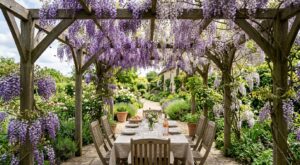 Cette grimpante parfumée : 2 gestes à faire maintenant pour un rideau de fleurs du printemps à l’été sans trou au jardin