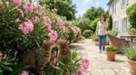 Cette haie très commune dans les jardins français peut faire lâcher le cœur de votre chat en quelques heures, sans signe