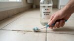 Pendant 3 ans, j’ai frotté mes joints de carrelage avec ce produit ménager : ce que m’a montré un pro sur les dégâts invisibles
