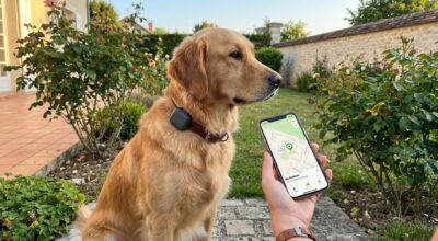 Quand votre chien s’éloigne en balade, ce boîtier à 31 € fixé au collier change tout (et beaucoup regrettent de l’avoir eu tard)