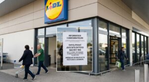 Rappel conso : ces avocats bio vendus chez Lidl en France pourraient contenir des métaux lourds, vérifiez vos achats
