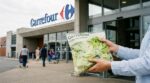 Rappel conso : chez Carrefour, ces sachets de salade au frigo en France présentent un risque de salmonelle