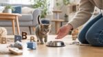 Année des B 2026 : ces 20 prénoms pour chaton validés par les pros (et l’erreur qui peut tout gâcher dès ses premiers jours)