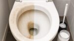 « Arrête de frotter » : cette poudre cachée dans le placard a rendu ma cuvette marron presque neuve pendant la nuit