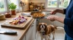 Attention à cet ingrédient de cuisine : présent partout, il envoie des milliers de chiens aux urgences vétérinaires