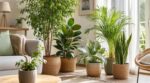 Canicule chez vous : ces 5 plantes d’intérieur créent un microclimat frais sans clim, mais presque personne ne les utilise