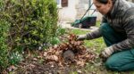 Ce tas de feuilles que vous passez à la tondeuse ce week-end cache un animal protégé : l’ignorer peut vous coûter 150 000 €