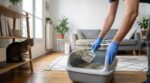 Ces 5 maladies que votre chat peut transmettre à l&rsquo;humain : ces erreurs à éviter surtout si vous êtes enceinte