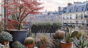 Ces 5 plantes de balcon survivent tout l’hiver sans s’abîmer si vous évitez cette erreur d’arrosage très fréquente