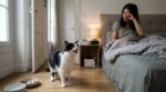 Ces miaulements nocturnes soudains chez votre chat silencieux cachent bien plus qu’un simple caprice (et il faut agir vite)