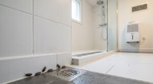 Ces petites bêtes grises dans votre salle de bain impeccable révèlent ce problème grave dans la maison (que vous sous-estimez)