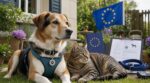 Chiens, chats : ces gestes « normaux » que vous faites encore et que l’Europe considère désormais comme de la cruauté