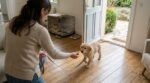Il salissait tout chez moi : ce rituel d’éducateurs canins qui transforme ce jeune animal en compagnon propre en à peine 15 jours