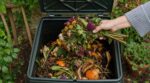 Ni marc de café ni peau de banane : ce déchet de cuisine booste votre compost de jardin et vous l’ignorez encore