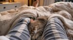 Si votre chat fait ça entre vos jambes le soir, voici ce que cette habitude révèle sur votre foyer (et ce qui inquiète les vétos)