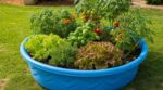 Abandonnez les bacs surélevés : ce contenant de jardin à moins de 50 € limite le mal de dos et stoppe les mauvaises herbes