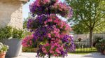Abandonnez vos suspensions florales : cette installation de jardin fait grimper vos pétunias et simplifie enfin l’arrosage