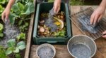 Barbecue : ces résidus que tout le monde jette à tort peuvent sauver votre jardin, doper le compost et nettoyer la maison