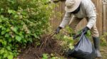 Cette plante sauvage qui vous couvre de plaques rouges : la méthode d’un agriculteur pour la faire disparaître du jardin