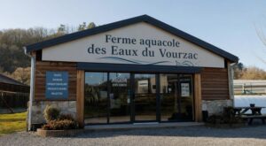 Rappel conso : cette terrine de truite pour l&rsquo;apéritif vendue en direct ne doit plus être consommée, risque Listeria