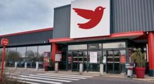 Rappel conso : chez Auchan, ces filets de poisson peuvent déclencher une intoxication violente chez les allergiques