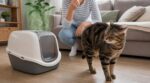 Si votre chat fuit soudain ce produit qui « sent le propre », ne le forcez pas : ce signe cache un vrai danger pour sa santé