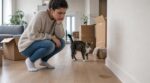 Votre chat urine partout après le déménagement : ce comportement n&rsquo;est pas une crise de stress, mais un message que vous ratez