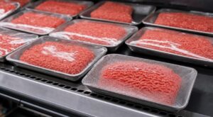 Rappel conso : chez Auchan, ces steaks hachés présentent un risque bactérien à cause d&rsquo;un emballage défectueux