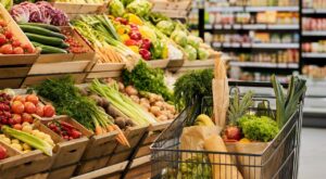 Passé 40 ans, j'ai quitté ce supermarché pour Grand Frais : cette erreur sur vos courses que vous faites peut-être aussi